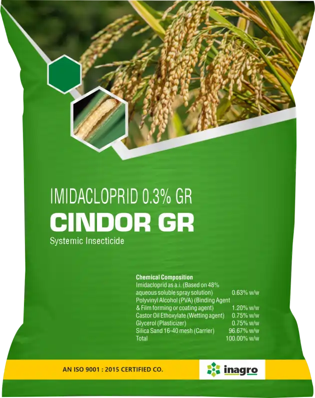 Cindor GR