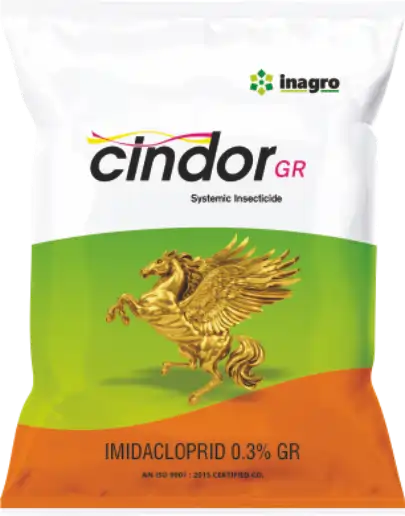 Cindor